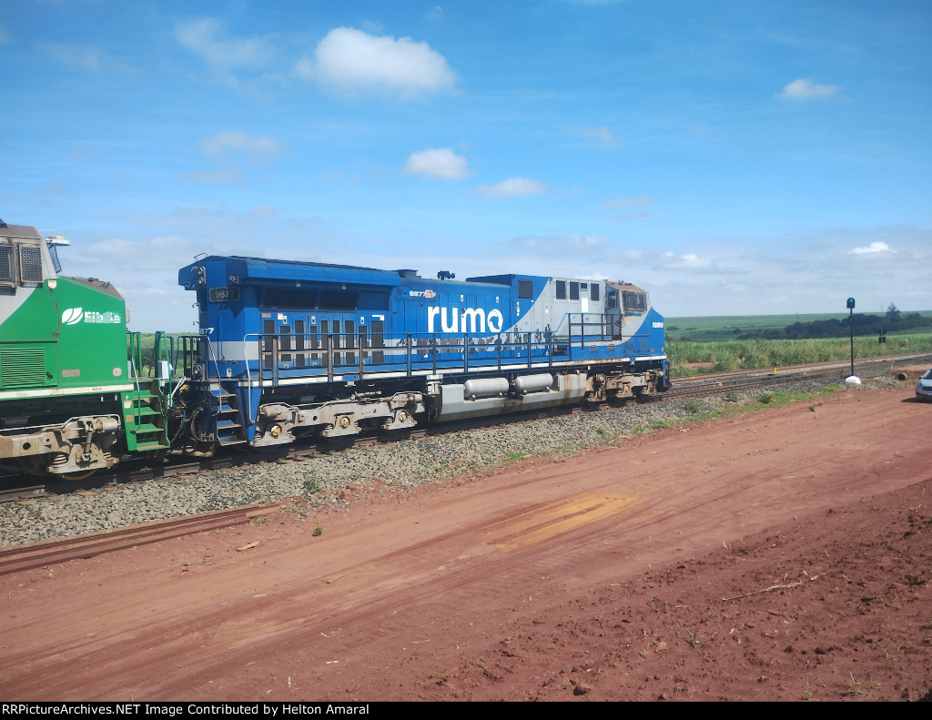 RUMO 9877